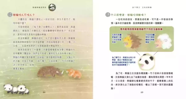 熊貓熊貓我問你：圖片 3