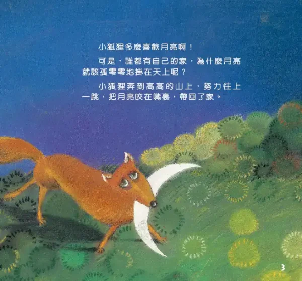 狐狸的月亮：圖片 3