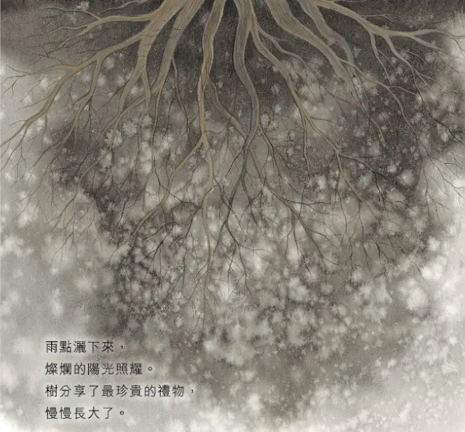 樹的禮物:圖片 3