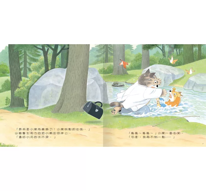 好忙好忙的山貓醫生:圖片 3