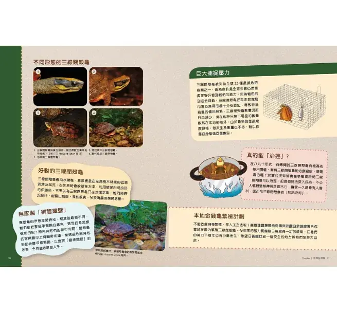 香港珍稀生物小百科:圖片 5