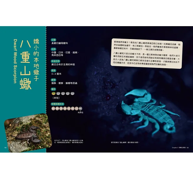香港珍稀生物小百科:圖片 6